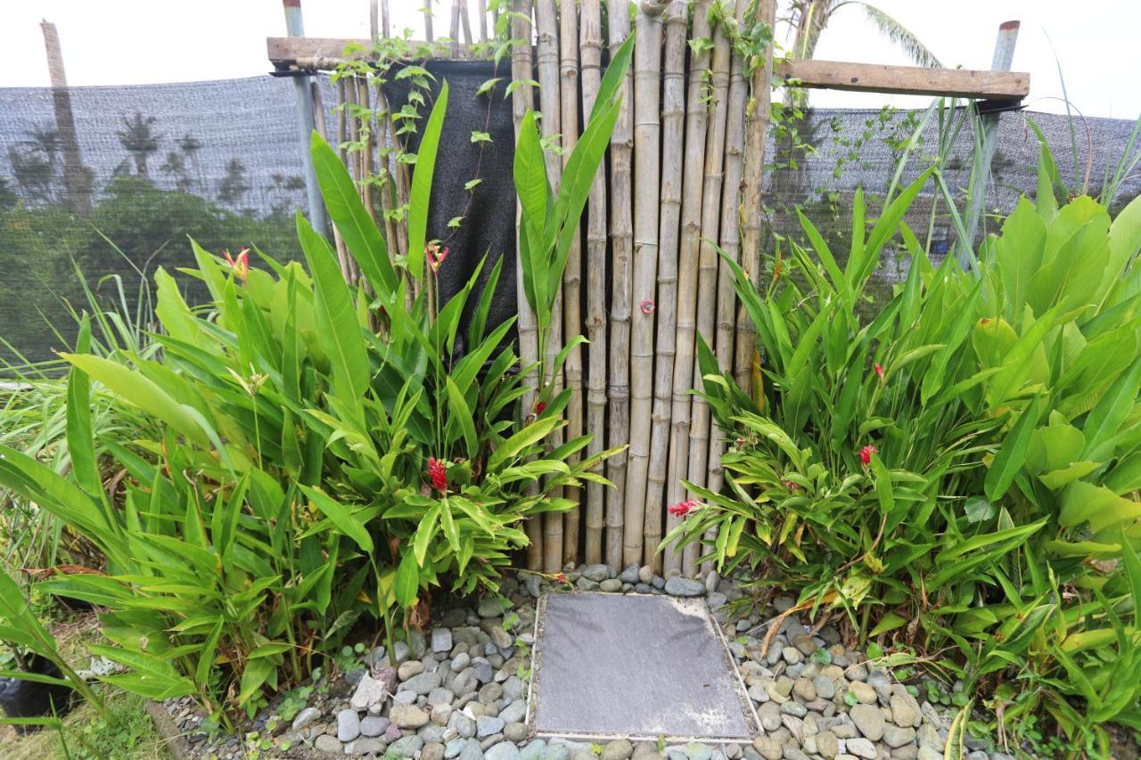 Lafinca Hostel Siargao San Isidro  Exteriér fotografie